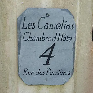 Les Camelias Binic